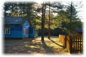 Ein blaues Holzhaus an der Küste in Finnland.