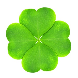 Vierblättriges Kleeblatt.