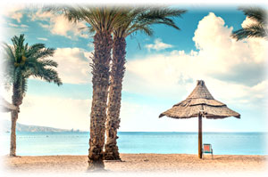 Drei Palmen und viele Sonnenschirme an einem Strand.