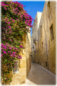 Eine schmale Gasse mit violetten Blumen im Mdina, Malta.