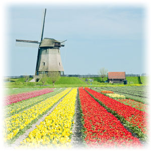 Blick auf einen Hafen mit einer Mühle.