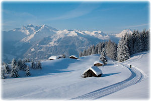 Blick auf eine verschneite Landschaft.