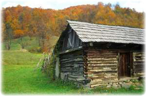 Eine Berghütte nahe eines Waldes in den Karpaten.