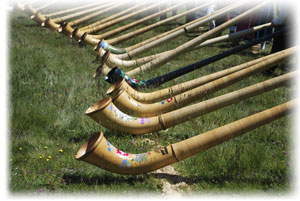 Vier traditioenlle Alphörnern mit ihren Spielern.